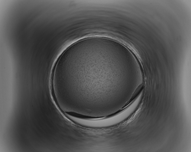 X0000097831533200803201447