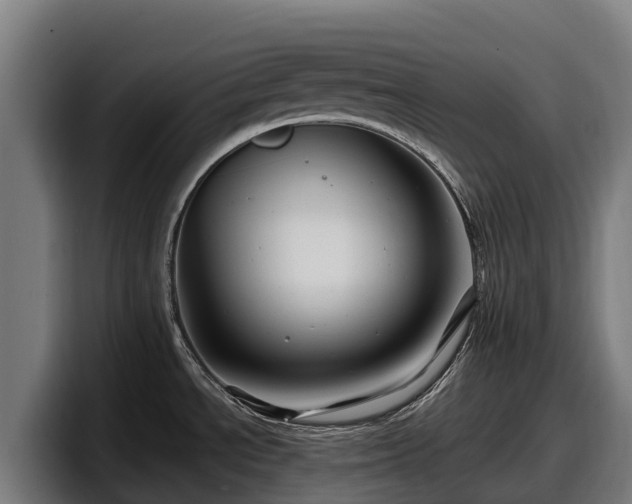 X0000097831534200803201447