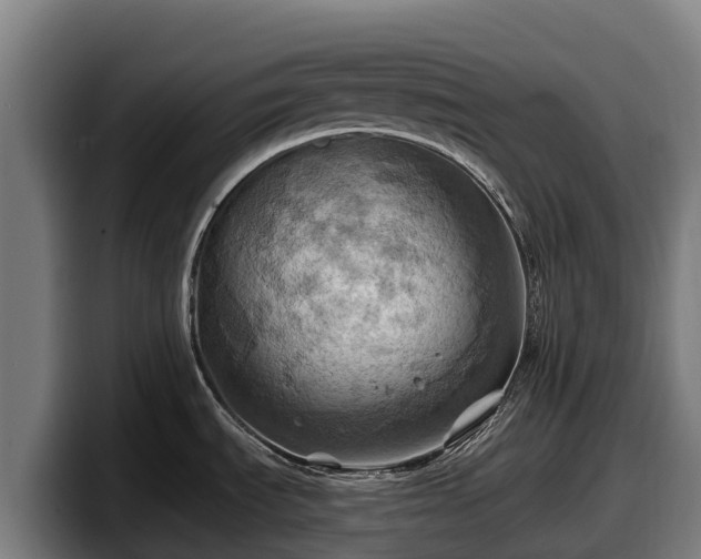 X0000097831535200803201447