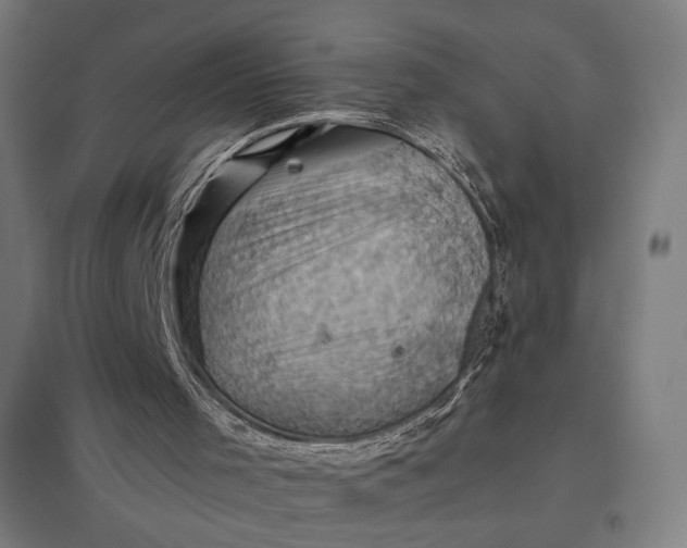 X0000097830001200803281211