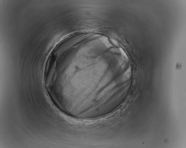 X0000097830002200803281211