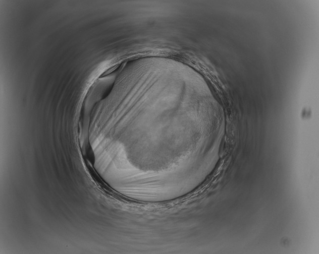 X0000097830003200803281211