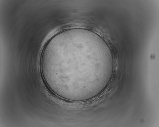 X0000097830004200803281211