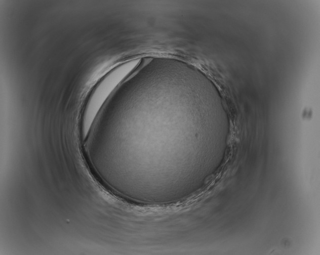 X0000097830005200803281211