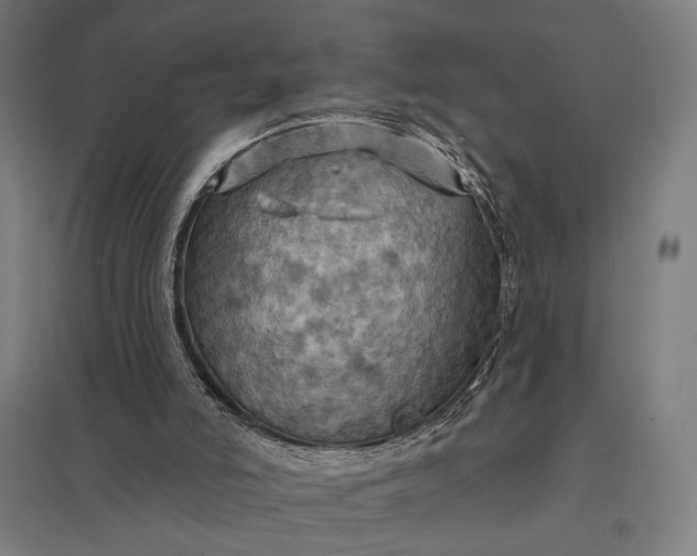 X0000097830006200803281211