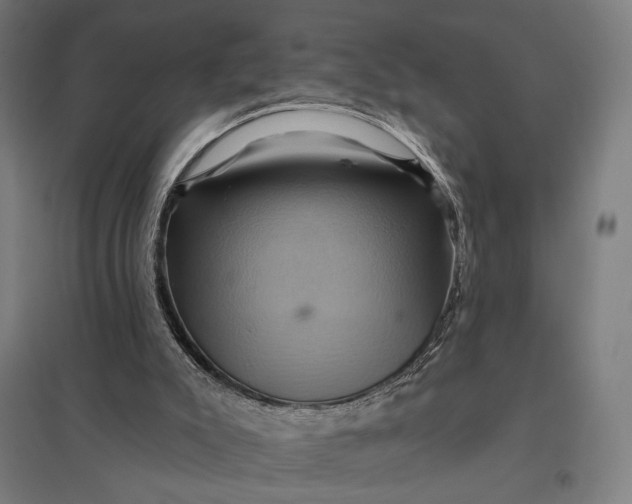 X0000097830007200803281211