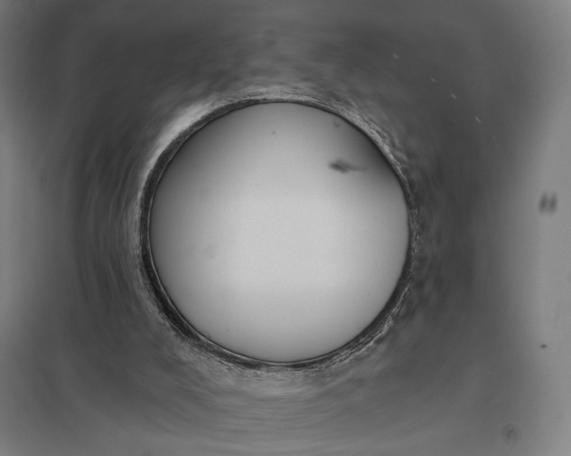 X0000097830008200803281211