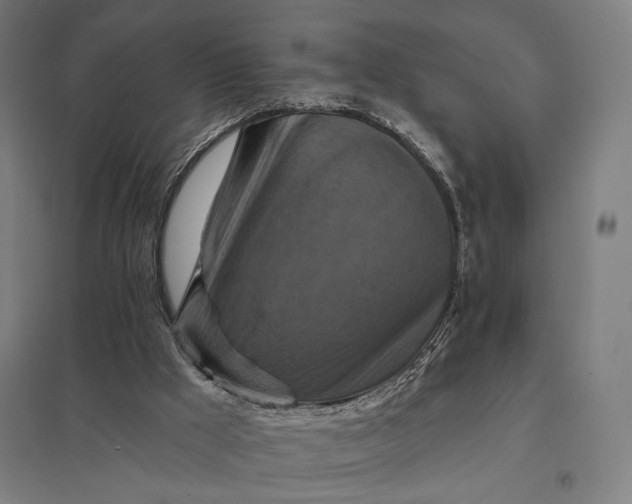 X0000097830009200803281211