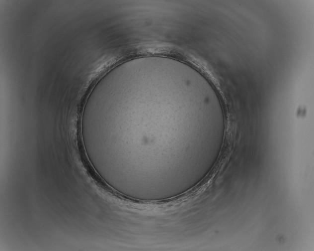 X0000097830010200803281211