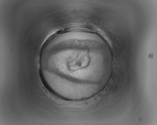 X0000097830011200803281211