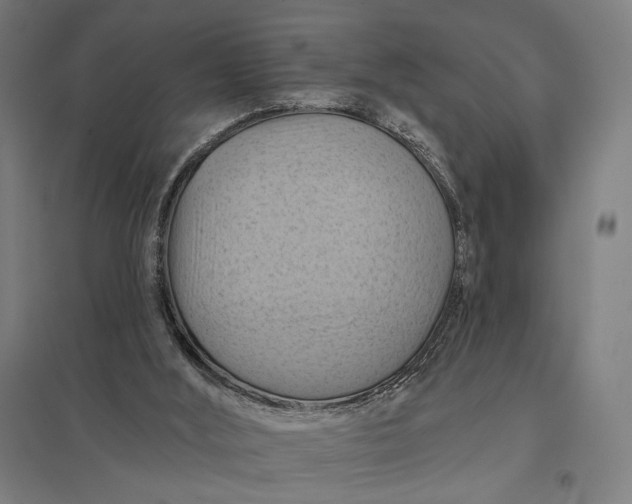 X0000097830012200803281211