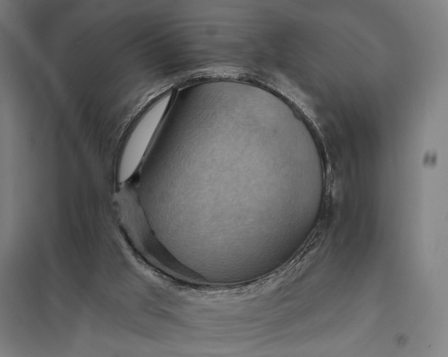 X0000097830013200803281211