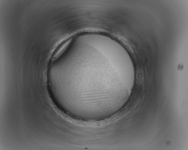 X0000097830015200803281211