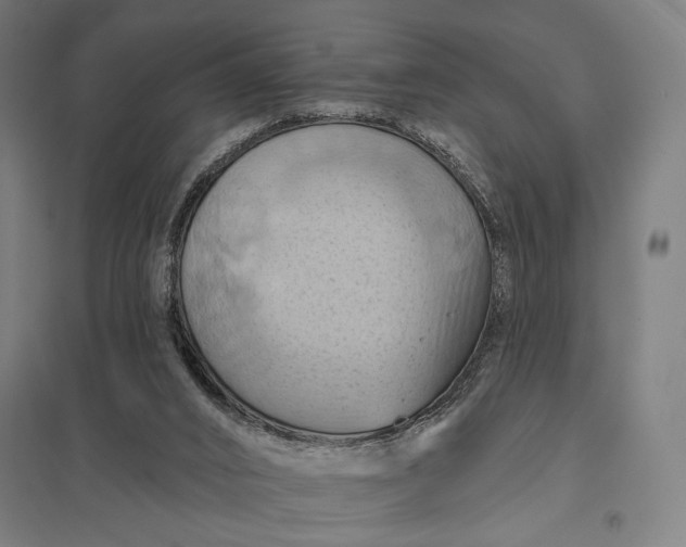 X0000097830016200803281211