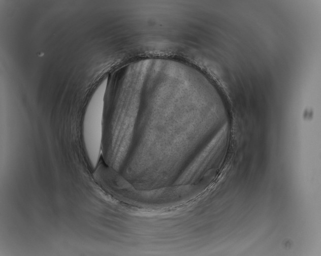 X0000097830017200803281211