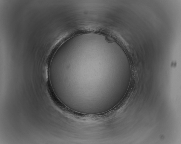 X0000097830020200803281211