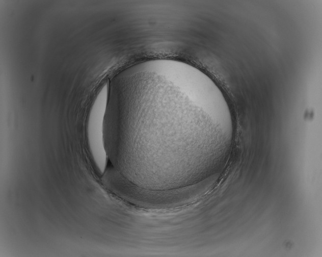 X0000097830021200803281211