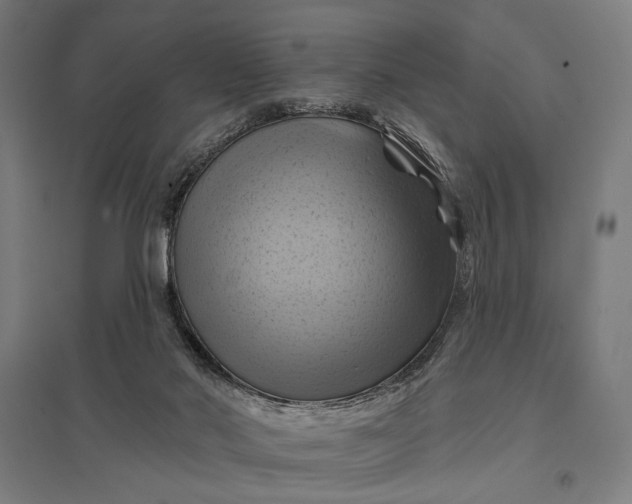 X0000097830022200803281211