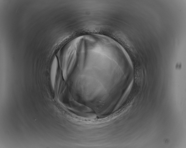 X0000097830023200803281211