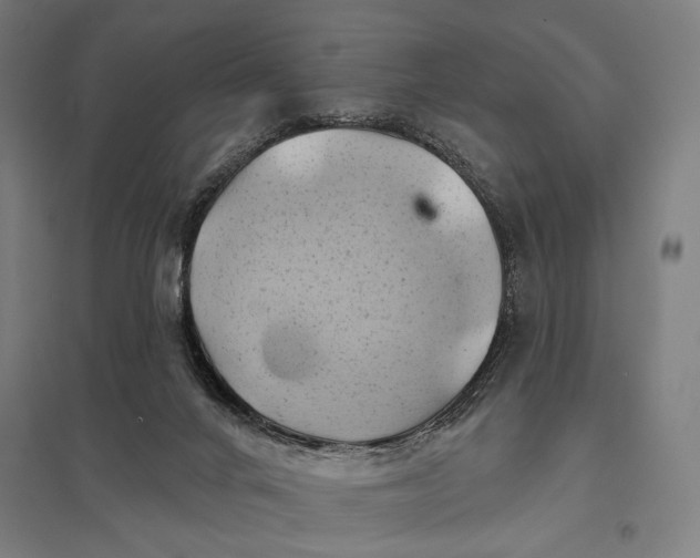 X0000097830024200803281211