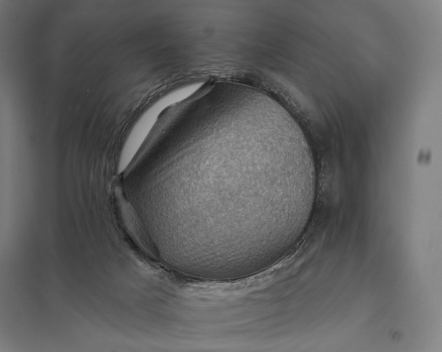 X0000097830025200803281211