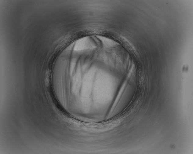 X0000097830026200803281211