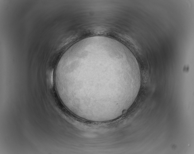 X0000097830028200803281211