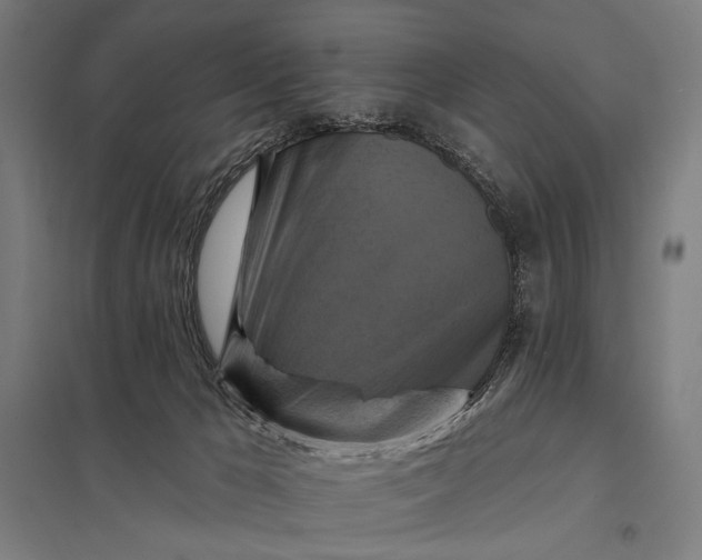 X0000097830029200803281211