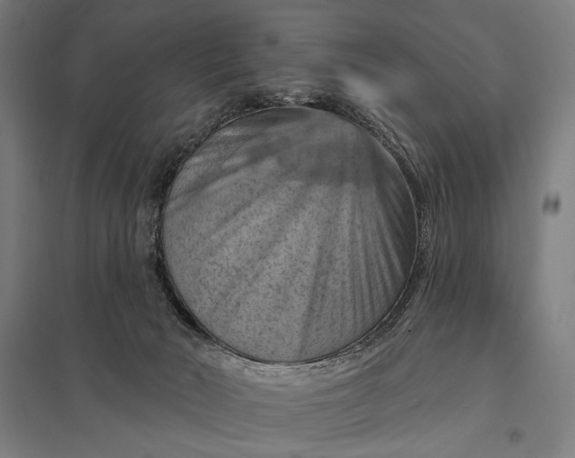 X0000097830030200803281211