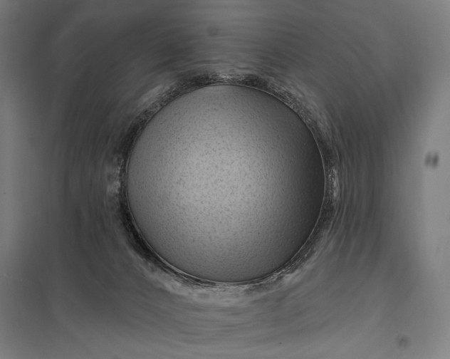 X0000097830032200803281211