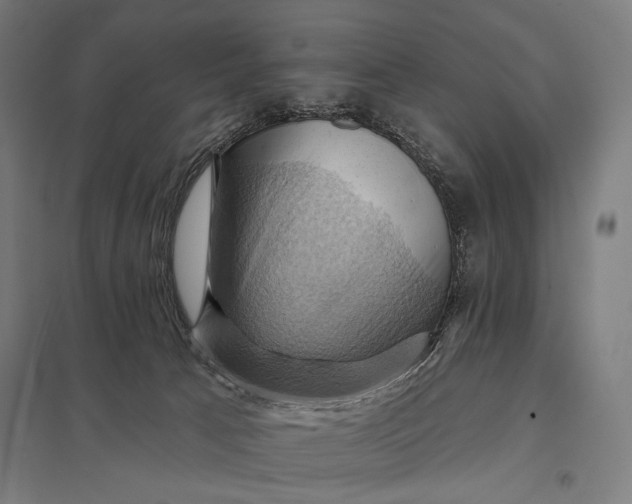 X0000097830033200803281211