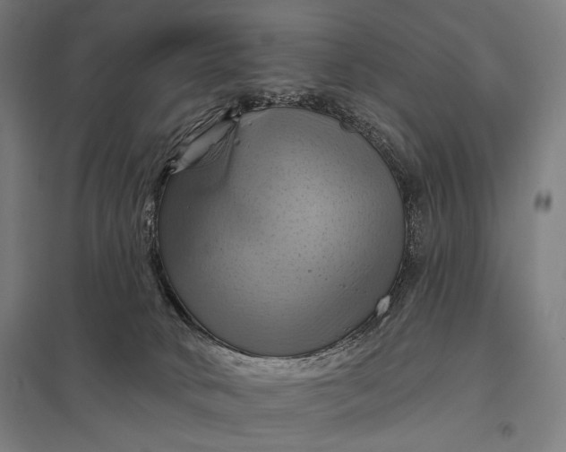 X0000097830034200803281211