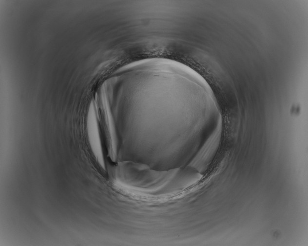 X0000097830035200803281211