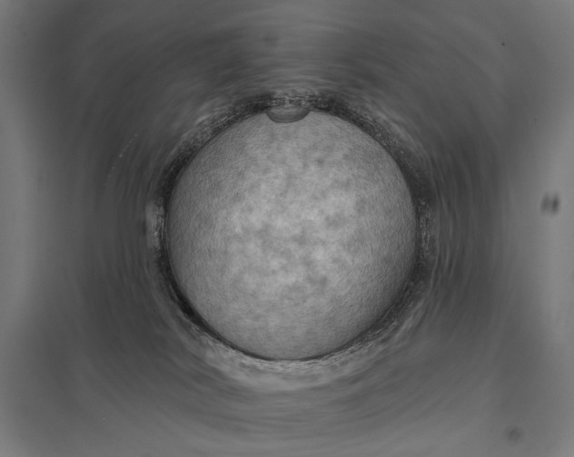 X0000097830038200803281211