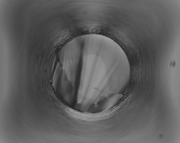 X0000097830039200803281211