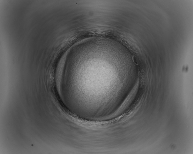 X0000097830040200803281211