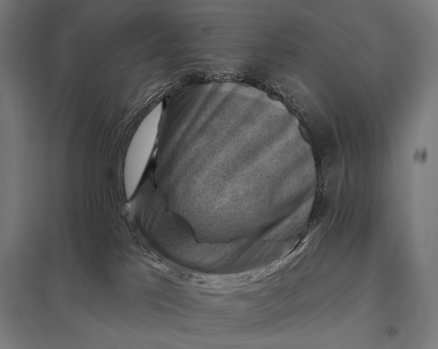 X0000097830041200803281211