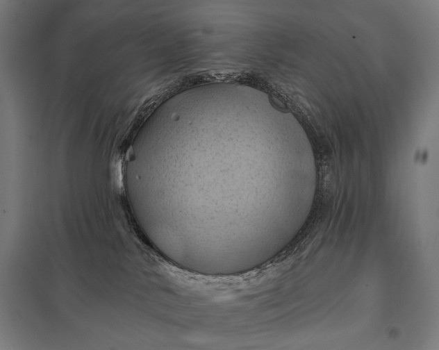 X0000097830042200803281211