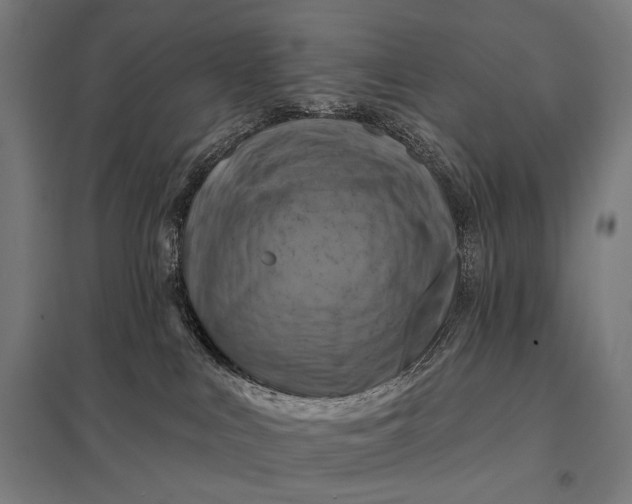 X0000097830043200803281211