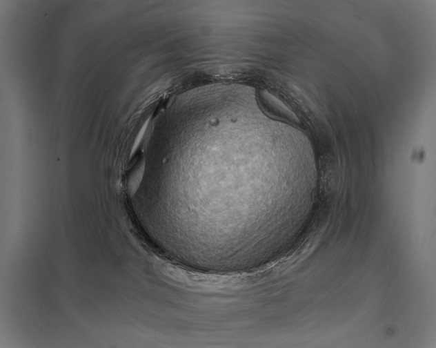 X0000097830044200803281211