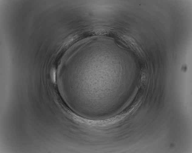 X0000097830046200803281211