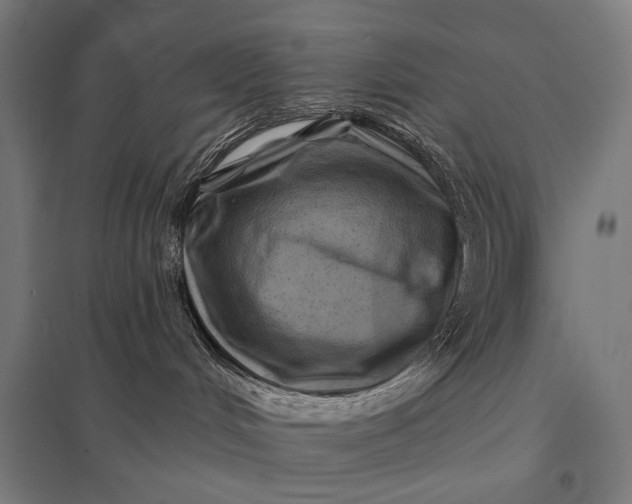 X0000097830048200803281211