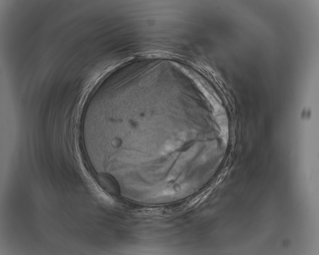 X0000097830049200803281210