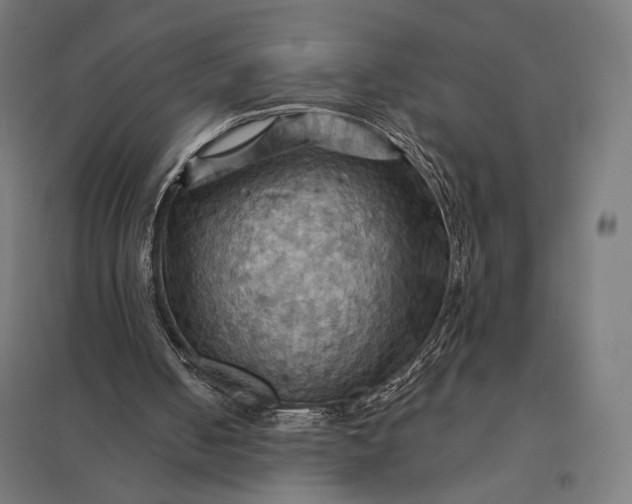 X0000097830050200803281210