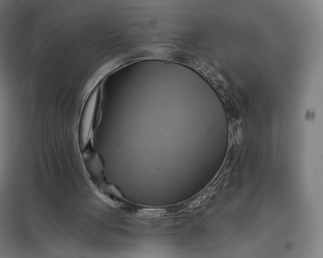 X0000097830051200803281210