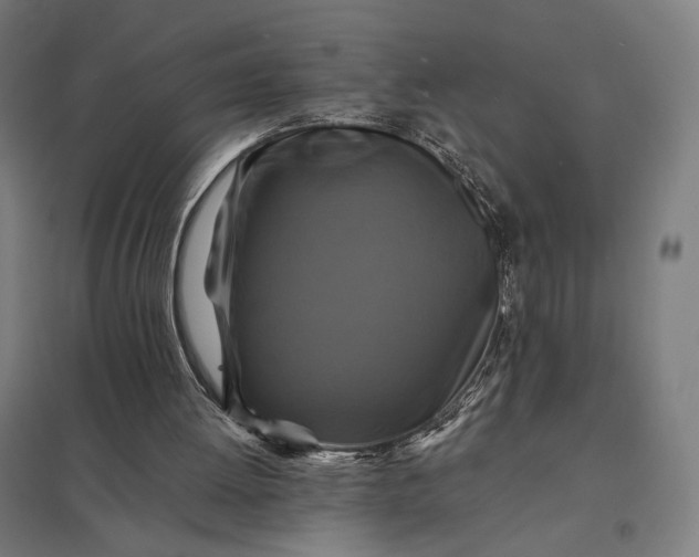 X0000097830052200803281210