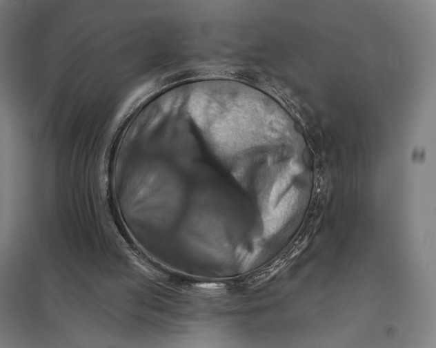 X0000097830053200803281210