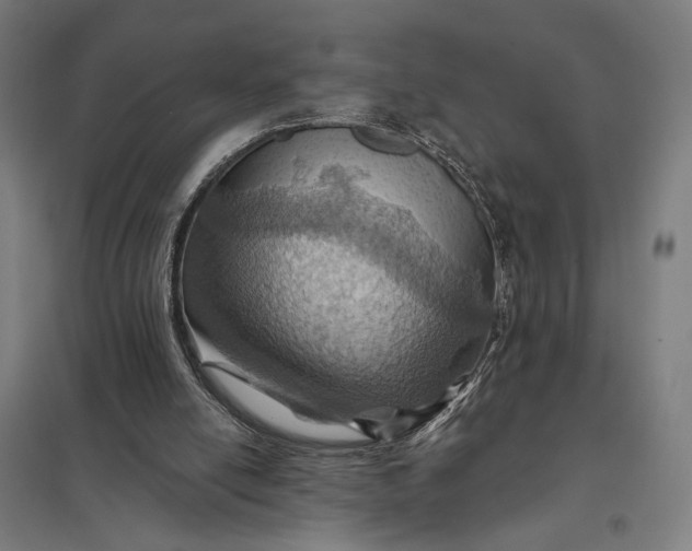 X0000097830054200803281210