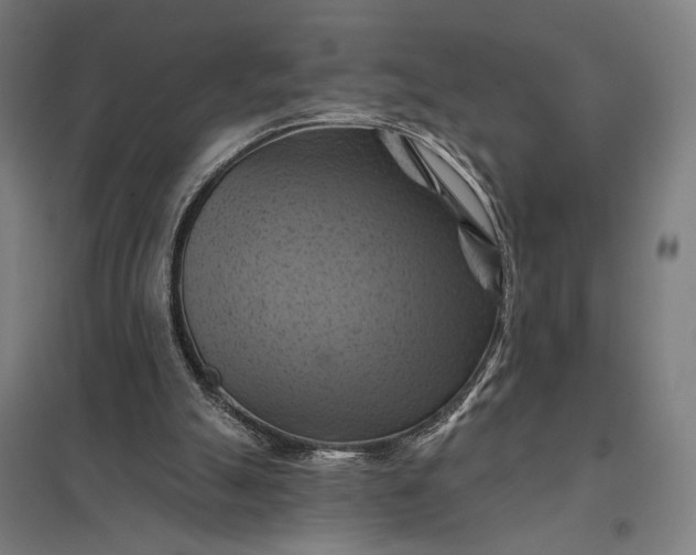 X0000097830055200803281210