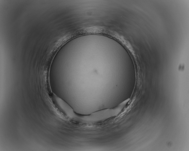 X0000097830057200803281210